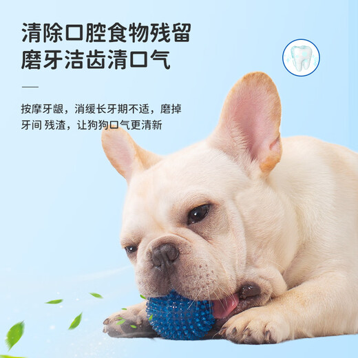 EETOYS small thorn ball blue dog toy fun sounding teeth grinding and bite-resistant tooth cleaning ball to relieve boredom alone pet supplies