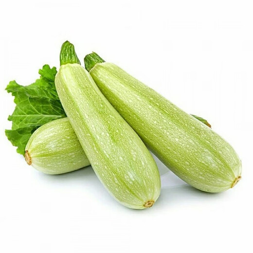 Zucchini seeds, high-yielding vegetable seeds, easy to grow in all seasons, family balcony potted vegetable seeds, cold-resistant and disease-resistant, heat-resistant and high-yielding zucchini seeds, 23 seeds or so, germination rate 95.4323%