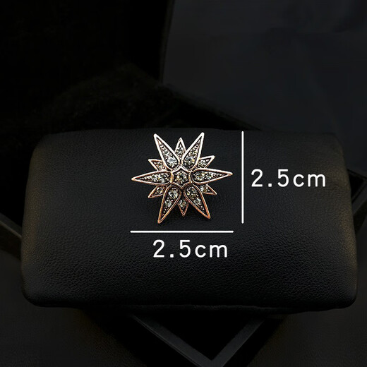 ROSENA SAMMI复古六芒星小胸针西装大衣男士百搭领口扣针装饰衬衫防走光固定扣 六芒星古金色一对【礼盒装】