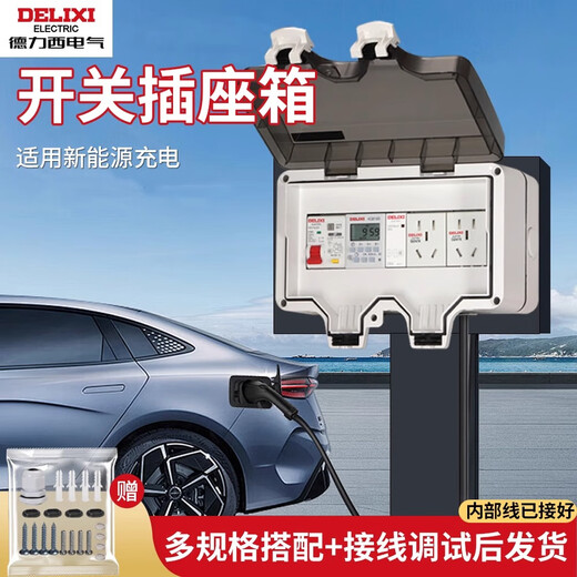 Delixi Electric External Waterproof Distribution Box Surface-mounted Rainproof Box Charging Pile Power Main Switch Leakage Protection Socket Open Box Charging Pile 7KW Special (Socket 16A)