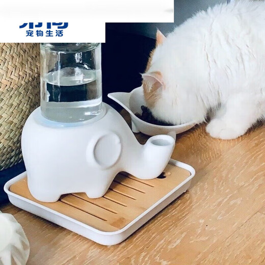 Hibiscus Mingkan is not easy to wet the chin. Elephant drinking fountain Garfield big-faced flat-faced drinking bowl is anti-tip and moisture-proof ceramic. Macaron blue + glass bottle + square plate