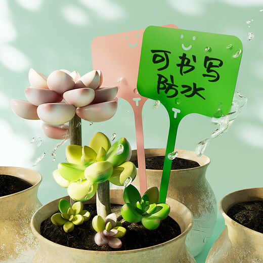 Fantasy seedling flowerpot plastic succulent label flower gardening ground brand potted plant name label anti-mixed color 10 pieces 9.6cm