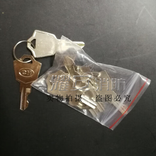 诺帝菲尔 诺蒂菲尔RP-1002PLUS火灾气体控制盘NBG-1002紧急按钮 钥匙只一把 9733