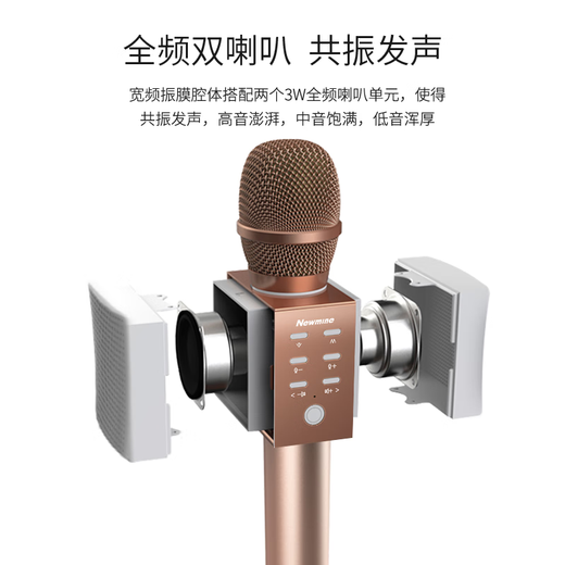 Newmine MC10 Wireless Microphone, Karaoke Microphone and Audio All-in-one Comes with Sound Card, Radio Microphone, Little Bee Amplifier Explainer, Bluetooth Singing Entertainment Artifact Treasure, Silver