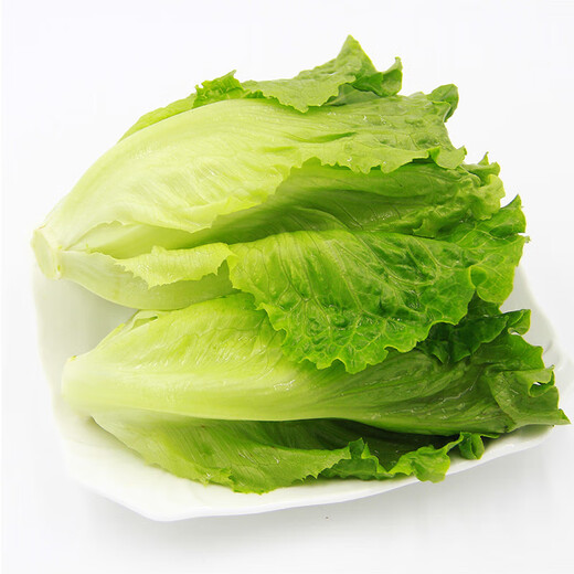Yunnan fresh lettuce about 400g