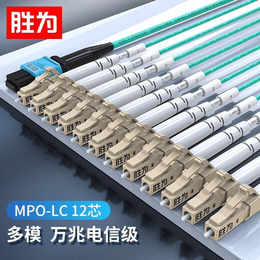 胜为光纤跳线MPO-LC12芯 30米 网线多模OM4万兆40G光模块集束光纤 MPO-LC/12芯  胜为 光纤跳线 MPO-LC MPO-LC/12芯 3米 FMPL-1203
