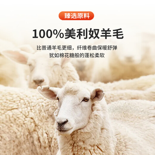 Antonio 100% wool & textured jacquard comfortable round neck pullover solid color jacquard men's thick warm casual cardigan