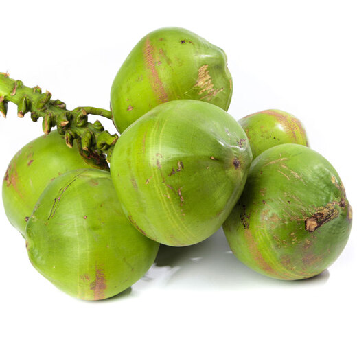 Hainan Coconut Green Hainan Straight Hair Freshly Picked Fresh Pregnant Women Amniotic Water Tender Coconut Specialty Fruit Coconut with Skin Single Fruit 3-5 Jin Jin equals 0.5 kg About 6 pcs