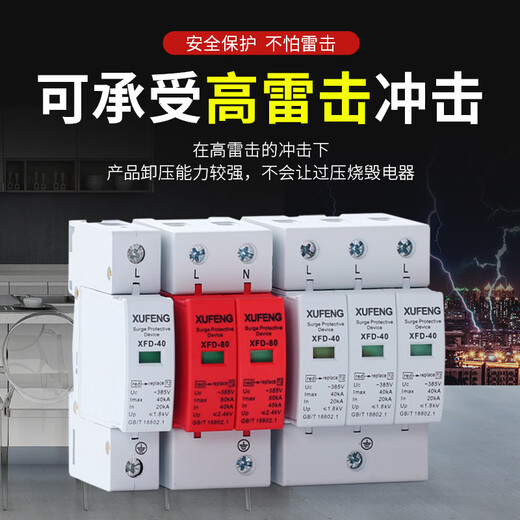 Yue Changsheng Level 2P 4P Lightning Protection 10 40 60KV220V Surge 380V Lightning Protection Surge Protector Level 4P25KA