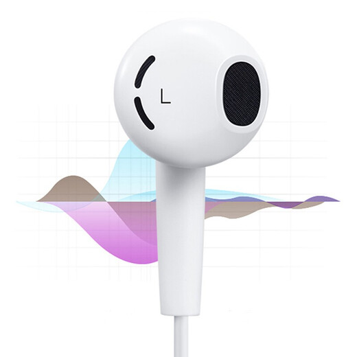 Magic Wind Type-C wired headset in-ear mobile phone headset is suitable for Hammer Nut 3 Nut PRO PRO2