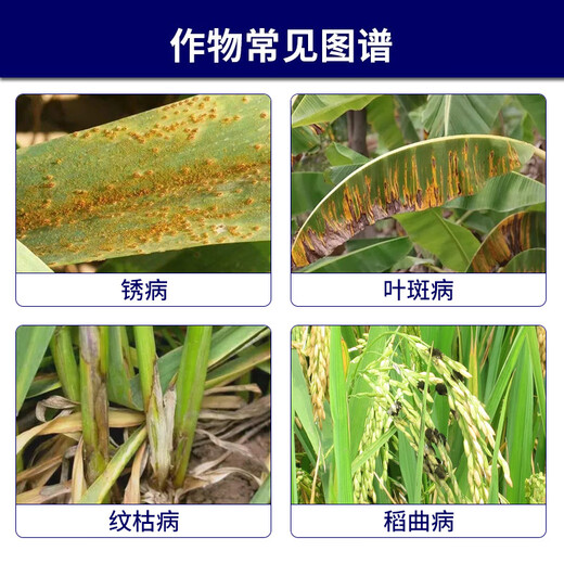 Syngenta Yangcai 18.7% Propicastrobin Banana Leaf Spot Size Spot Disease Yangcai Pesticide Fungicide 100ml