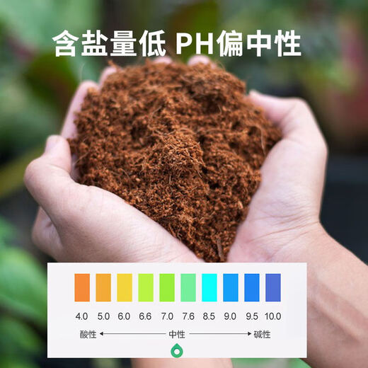 Man Life Tortoise Hibernation Coconut Soil Coconut Brick 1 Reptile Pet Coconut Soil Sterile Moss Mat Moisturizing Spider Horned Frog Reptile Pet Supplies