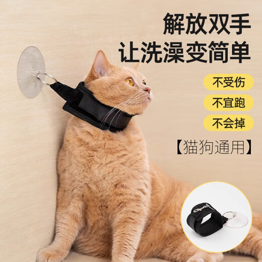 Lubo cat bath holder, washing cat fixed rope, anti-running, anti-scratch and bite pet, dog and cat nail clipper, suction cup rope, pet bath holder