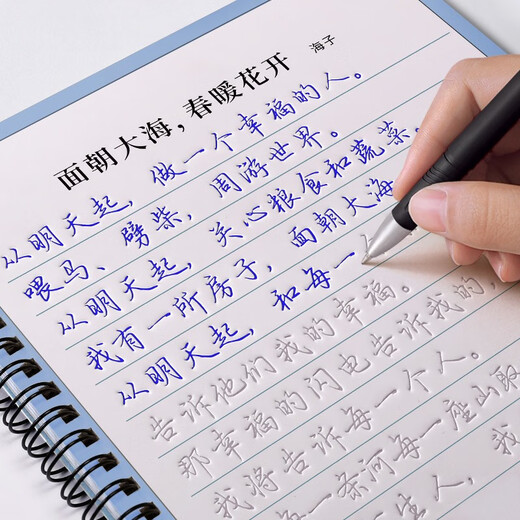 Golden branch leaf regular script calligraphy practice book for adults, calligraphy groove practice calligraphy, adult boys and girls fonts, beautiful pen, quick hard pen calligraphy practice book, 13 regular script books, with 2 pen holders, 2 pen holders, 10 refills