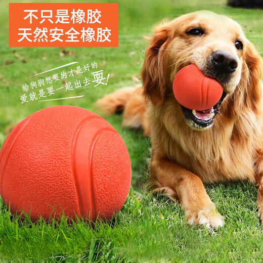 Pochido dog toy ball large size self-pleasure relief artifact pet border animal golden retriever bite-resistant ball training molar elastic ball