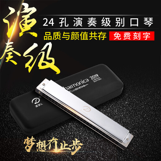 追梦人德国进口音簧天鹅追梦人t2409口琴24孔复音C调全铜材质琴格高端进 C调【全铜材质】