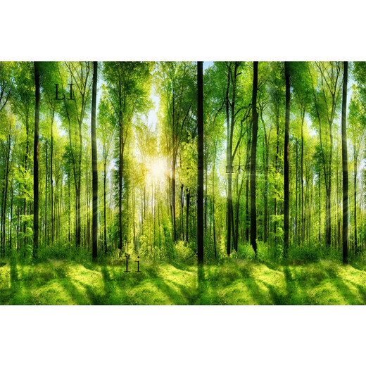 ZHEWEI-Wanddekoration Malmalerei 3D dreidimensionale Tapete Desktop-Aufkleber Wandbilder natürliche Waldlandschaft selbstlebig SN3892 Sea Broad Sky Zahlenbreite 300 cm * Höhe 200 cm Spleiß ohne