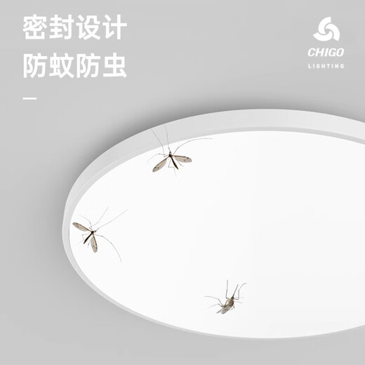Fanyao radar sensor lamp ultra-thin three-proof ceiling-mounted lamp stair aisle corridor corridor lamp smart lamp 24W-radar sensor