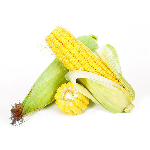 About 300g yellow sweet corn for one person