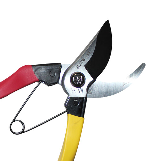 Sagawa Yoshi 138 garden scissors pruning shears garden scissors flower branch shears fruit tree scissors pruning shears