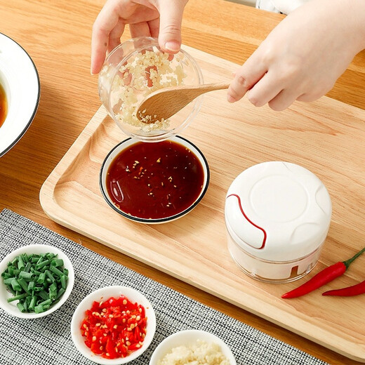 Rice helper garlic masher, household garlic masher, garlic puller, mini ginger food supplement grinder, meat grinder, garlic masher, powerful model 170ML garlic masher, strong and durable