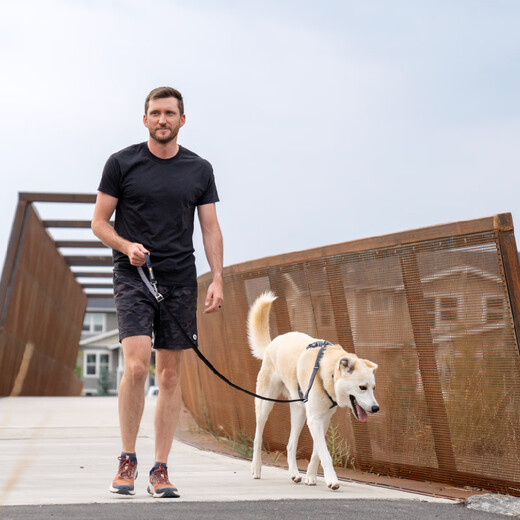 Lovewell Swike traction dog leash dog leash large dog leash multi-functional dog leash basalt gray