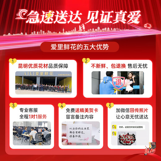 Airi Flowers intra-city express delivery giant bouquets of roses, birthday flowers, date flowers for girlfriends, gifts for besties, 33 purple roses, pink snow mountain powder, platycodon mixed bouquets