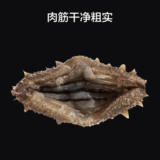 Dalian frozen ready-to-eat sea cucumbers made in Tokyo, net weight 2kg, 32-40 pieces, Liao sea cucumber mass sales gift box