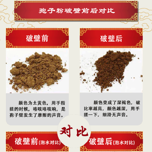 Nanjing Tongrentang Break-Wall Ganoderma lucidum spore powder 0.99g*80 bags Animal test enhancement of immunity nutritional tonic 2 boxes (160 bags)
