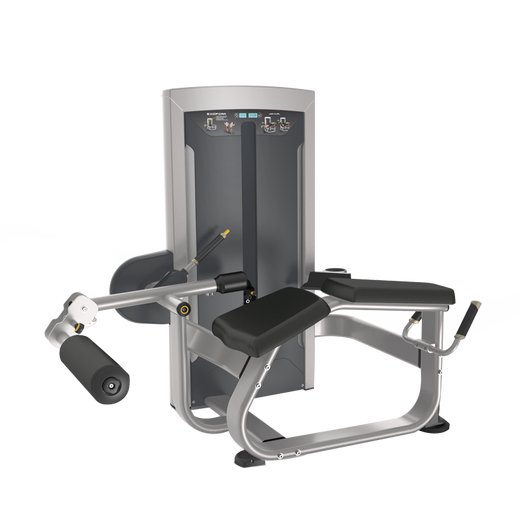 Inpais -Beinbogen -Trainingsgerät Fe9721