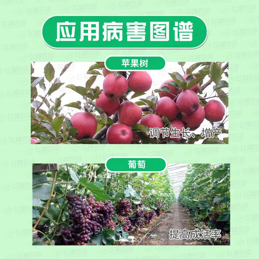 Guoguang Shenghe 20% Naphthalene Acetic Acid Rooting Powder Plant Flowers Succulent Tree Cuttings Hairy Root Transplanting Rooting Agent 5g