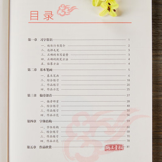 Zhao Mengfu Zhao Ti's running script introductory tutorial, running script introductory tutorial, basic training book, basic strokes, radicals, font structure, stroke by stroke analysis, brush calligraphy copybook, Beijing Sports University Press