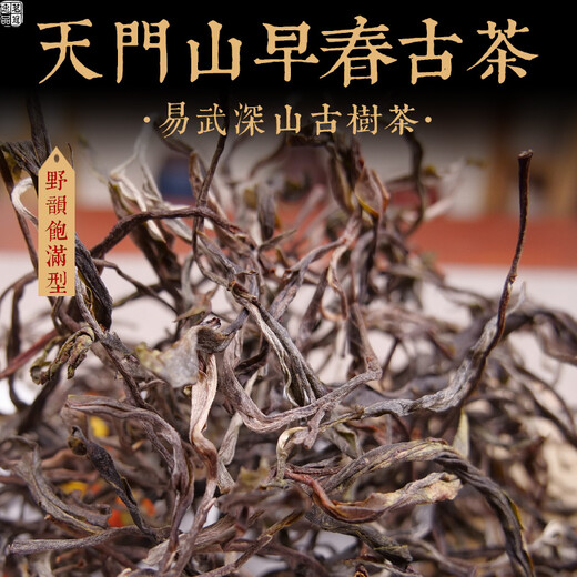 Mingguan Zhongpin 2021 Yiwu Tianmen Mountain Early Spring Ancient Tree Loose Tea Yunnan Ancient Tree Loose Tea Pu'er Tea Loose Tea 500g