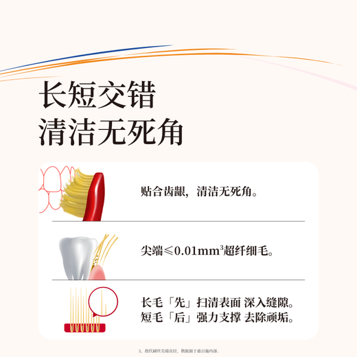 EBISU 48-hole wide-head medium-bristle toothbrush adult gum protection full-effect Pro fresh breath 2-pack with random colors