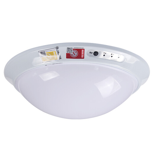 Tin light LED ceiling light corridor aisle staircase human body infrared induction sound and light control emergency fire garage power outage lighting emergency light 24W light source + human body induction