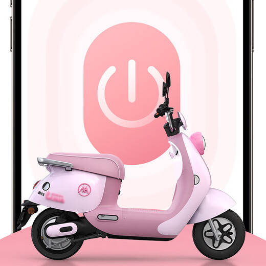 AIMA Luna 2025 version long-range electric car for women, fashionable adult mobility smart electric moped Luna/Youyue Dudu Pink Petal Hub + 1000W Motor