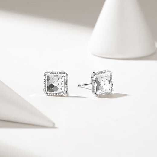 Trendy Acer PT950 Platinum Earrings Women's Birthday Gift Price Modern EEP40000508 One Pair Approximately 1.9g