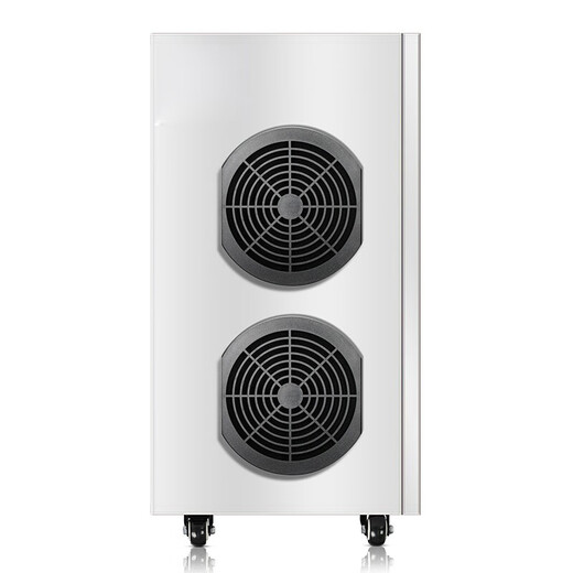 Plande ozone generator ozone disinfection machine industrial hospital workshop breeding farm special purification and sterilization air disinfection machine 20g\30g PDX-20N 20g/h