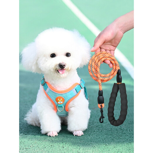 Tang Chong Dog Rope Dog Leash Small Dog Walking Rope Harness Bichon Teddy Pomeranian Puppy Chain Orange + 3m Automatic Retractable Rope M (Recommended Weight 7-13Jin Jin is equal to 0.5kg)