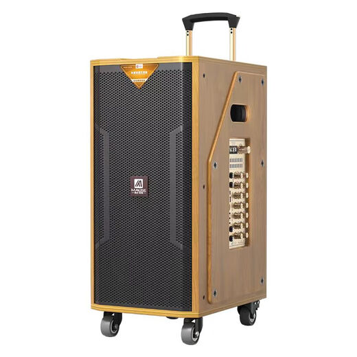 MALONE high-end indoor and outdoor high-power square dance audio OTG live karaoke lithium battery portable trolley audio subwoofer with sound card DSP wireless microphone Bluetooth speaker M-8088 audio + dual microphones + spree