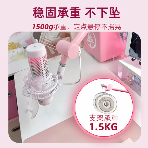 TerraTec microphone microphone cantilever desktop stand live broadcast artifact karaoke universal aluminum alloy pink stand pink