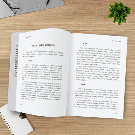 Internationales Verfassen von Dokumenten (Reihe „Global Governance und internationale Kompetenzkultivierung“)