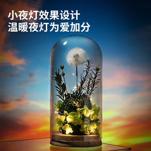 RoseBox dandelion eternal flower birthday gift anniversary gift for female friends, senior besties, niche senior wedding anniversary