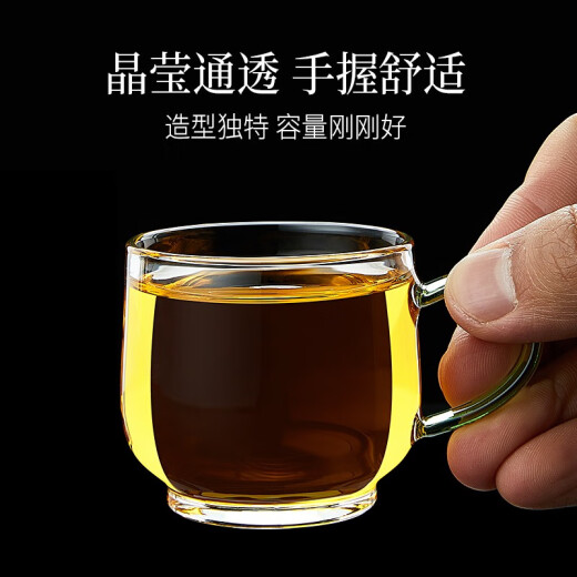 Xin Jingren Tea Cup Glass Six-Pack Chinese Tea Drinking Cup with Handle Tea Cup Kung Fu Tea Cup Set Transparent Tea Drinking Cup-6 Pack