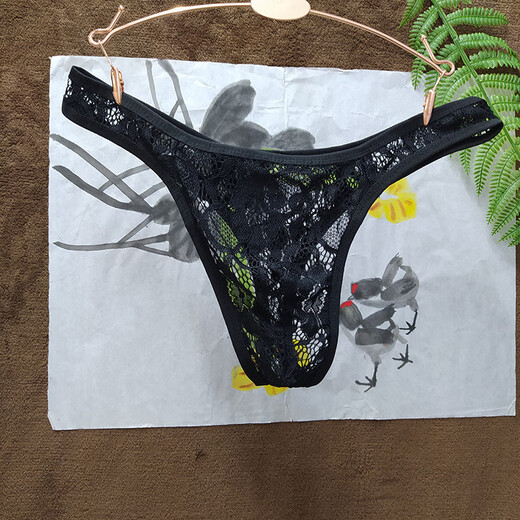 Adult men's sexy underwear, perverted lace transparent thong, thin sexy and interesting temptation T-pants, men's breathable large size couple's intercourse stimulation, no need to take off adult products SM white 4XL