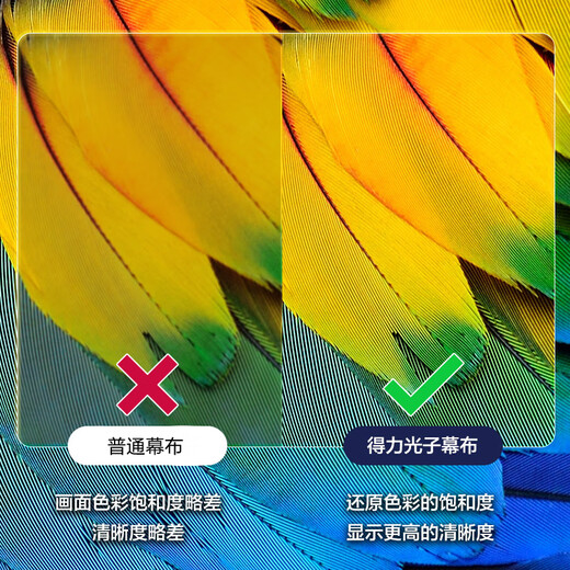 Deli 100-Zoll-16-Zoll-9-Halterung-Wandmontage-Doppelzweck-Photonenbildschirm, genießen Sie eine ultraklare und schlagfreie 8K-Heimprojektionswand, geeignet für den XGIMI Nut Dangbei-Projektor MS353