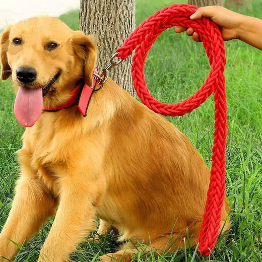 PPO large dog chain big dog leash with dog leash dog collar Alaskan German Shepherd Golden Retriever dog leash leash + snap collar red and black S size 8-15Jin Jin equals 0.5 kg Use