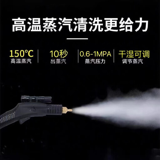 Electrodomésticos Ruizhi, multifunción comercial, juego completo de aire acondicionado, máquina todo en uno de limpieza especial de cocina, limpiador a vapor de alta presión y alta temperatura, desinfección, película decorativa para automóvil, eliminación de uñas interiores, cuatro en uno de 3500 W (pulso de vapor de agua fría y agua caliente)