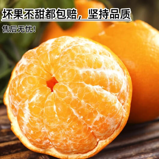 Jingdida Sichuan Chunjian Rake Mandarin Orange Baba Mandarin Net weight 9Jin Jin is equal to 0.5kg Large fruit 80-85mm fresh orange fruit straight from the source