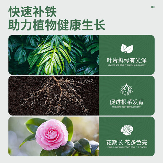 Stanley (STANLEY) Ferrous Sulfate Flower Fertilizer Flower Flower Granules General Purpose Fertilizer for Jasmine, Rhododendron and Gardenia 100g